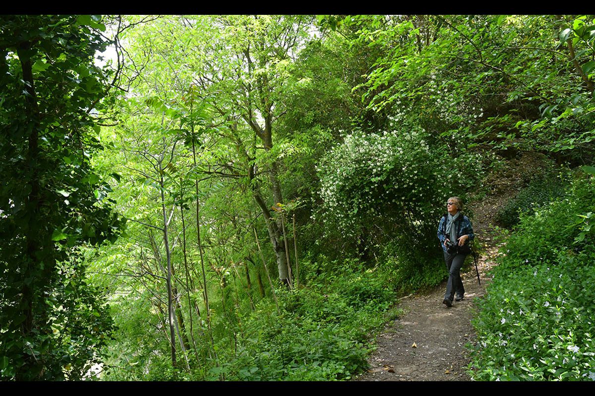 Sendero_Alarife-003