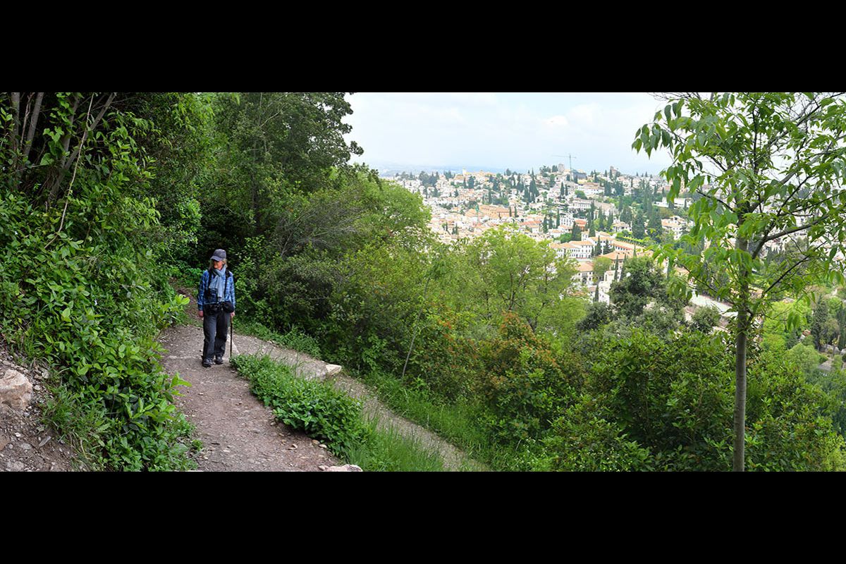 Sendero_Alarife-005