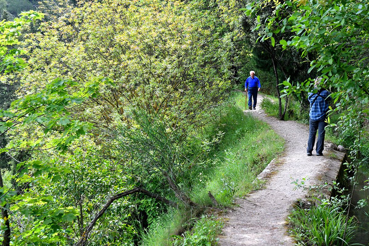 Sendero_Alarife-008