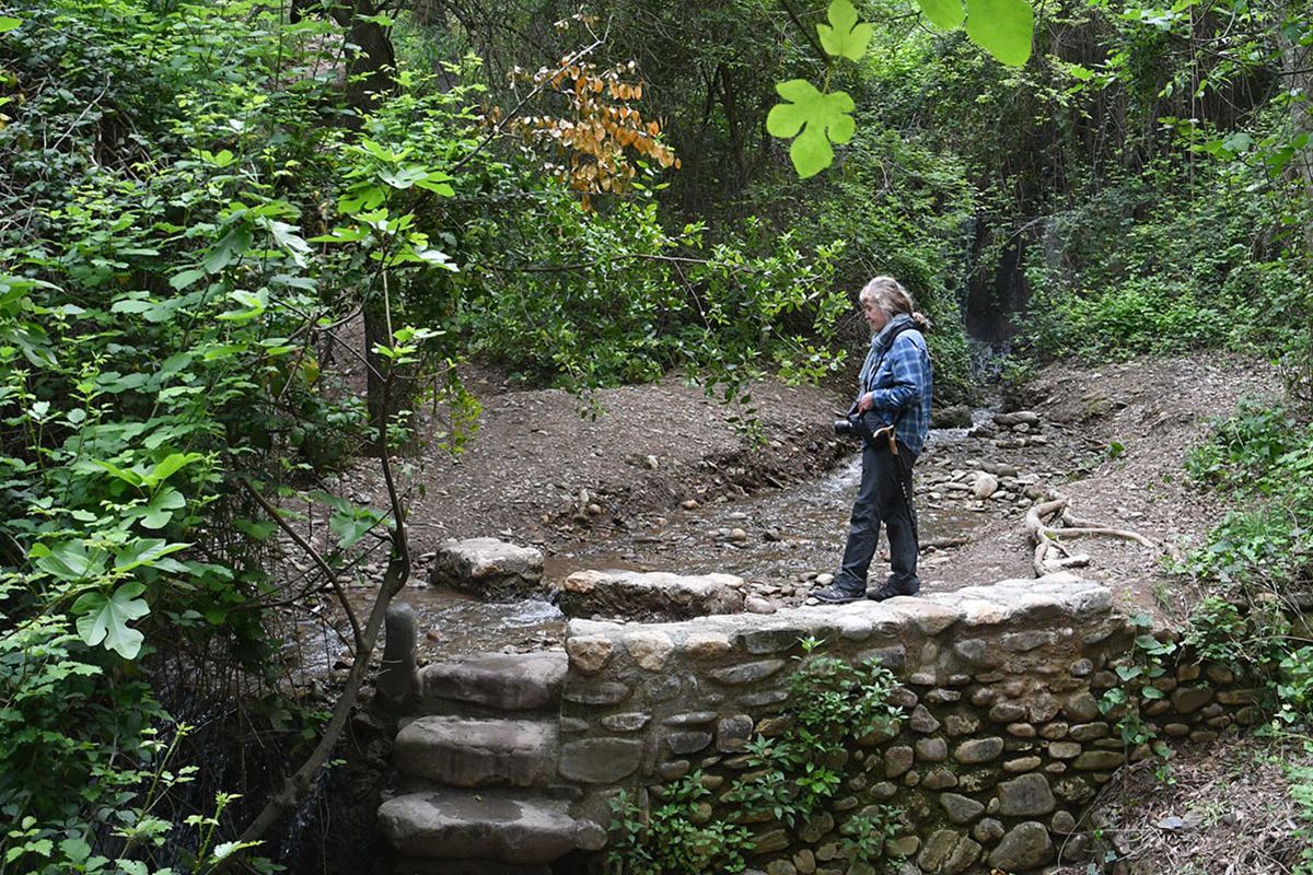 Sendero_Alarife-009