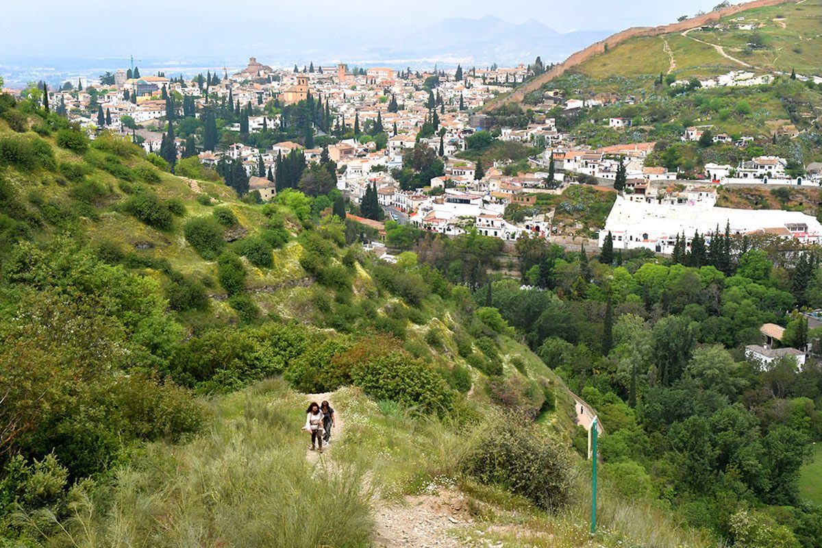 Sendero_Alarife-010