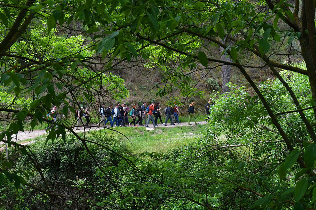 Sendero_Alarife-011