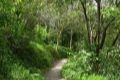 Sendero_Alarife-002