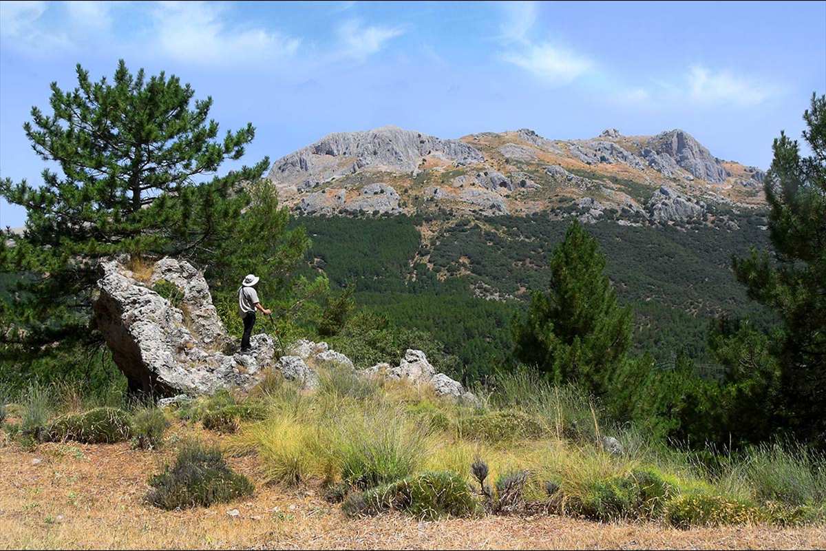 sendero-las-minas-07