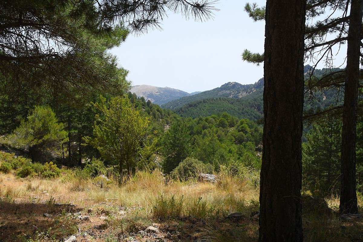sendero-las-minas-08