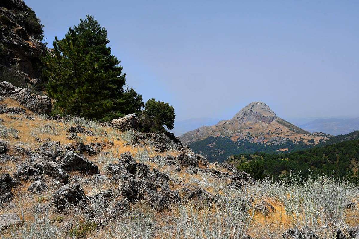 sendero-las-minas-10