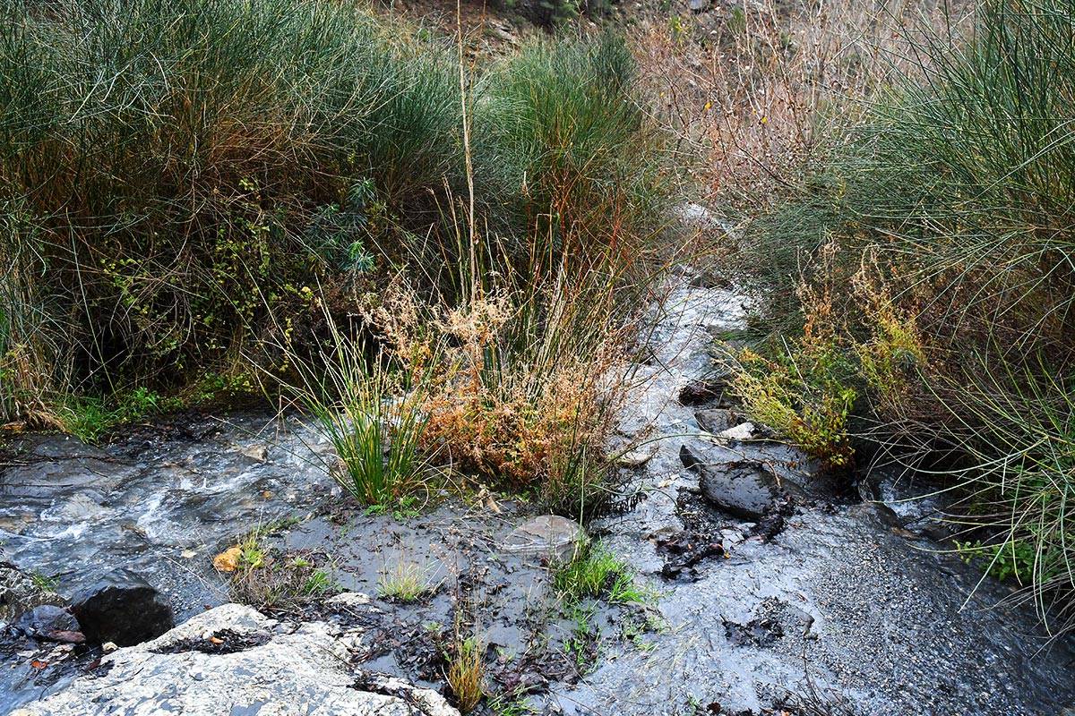 Sendero_La_Pavilla-07