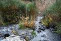 Sendero_La_Pavilla-07