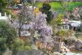 Sendero_La_Pavilla-15