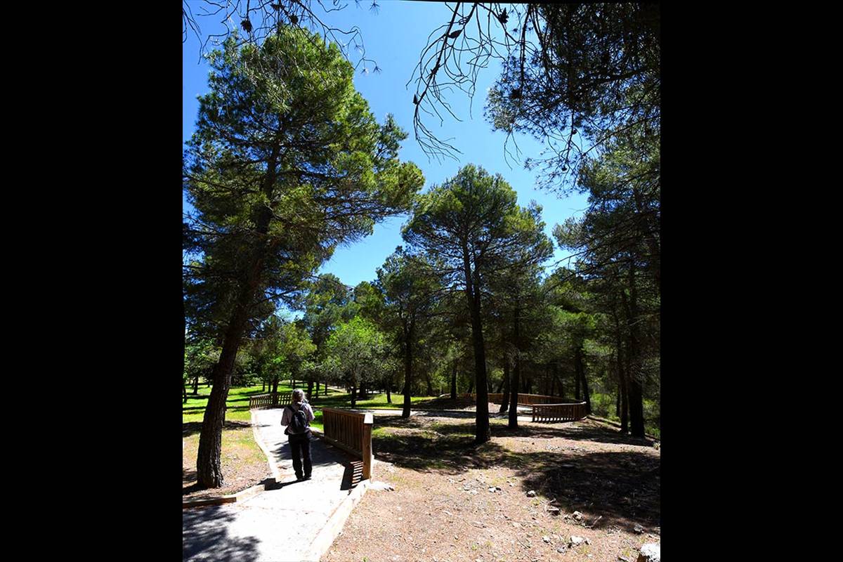 sierra-baza-sendero-narvaez-74_stitch