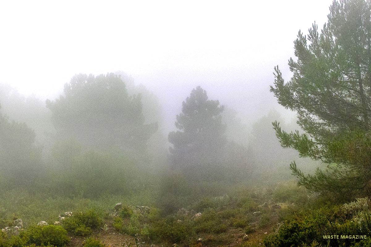 panoramica-niebla