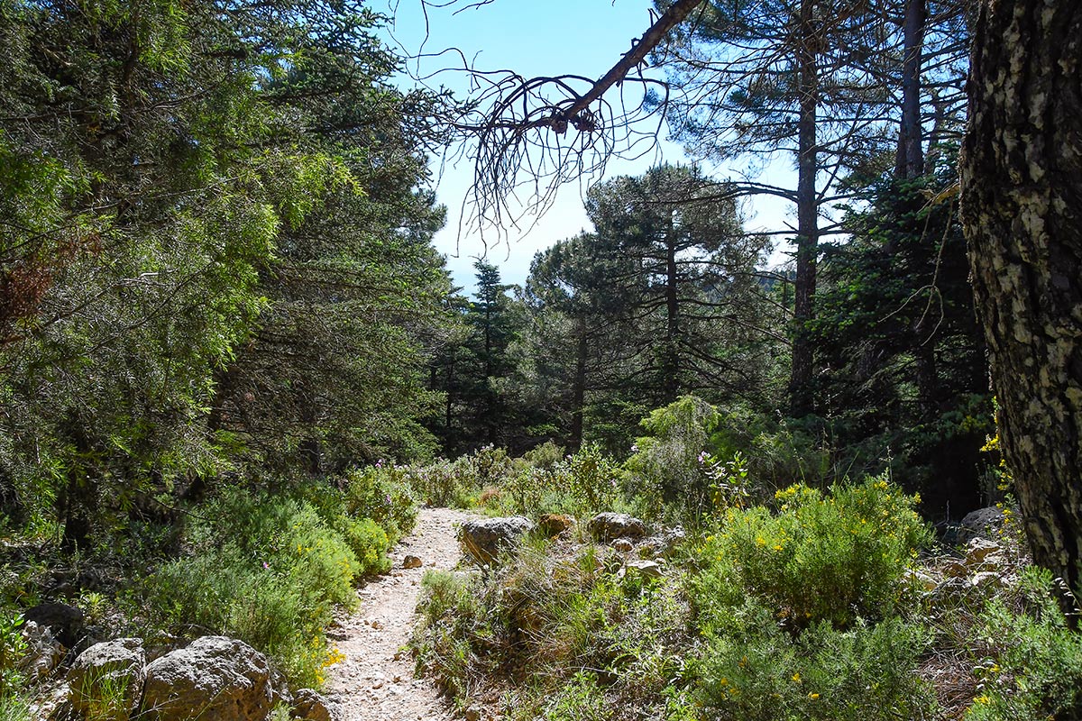 sierradelasnievesmayo29