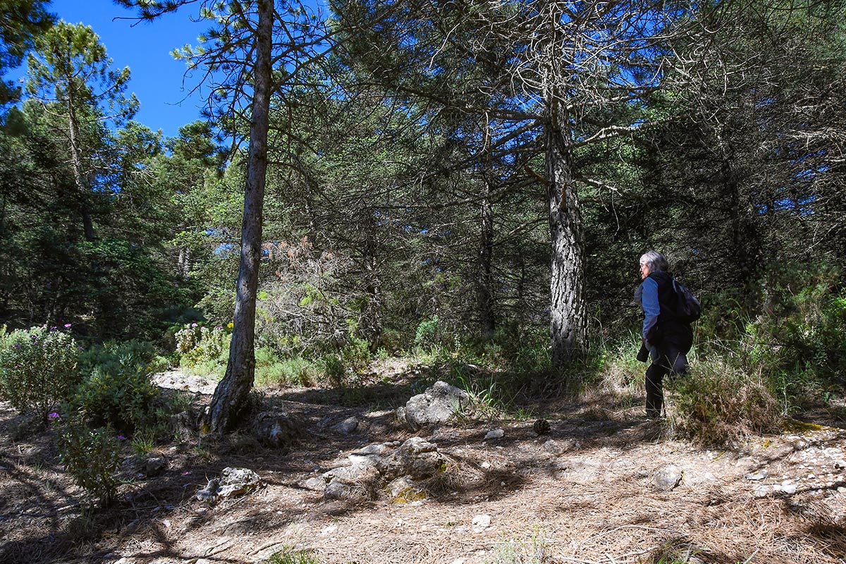 sierradelasnievesmayo30