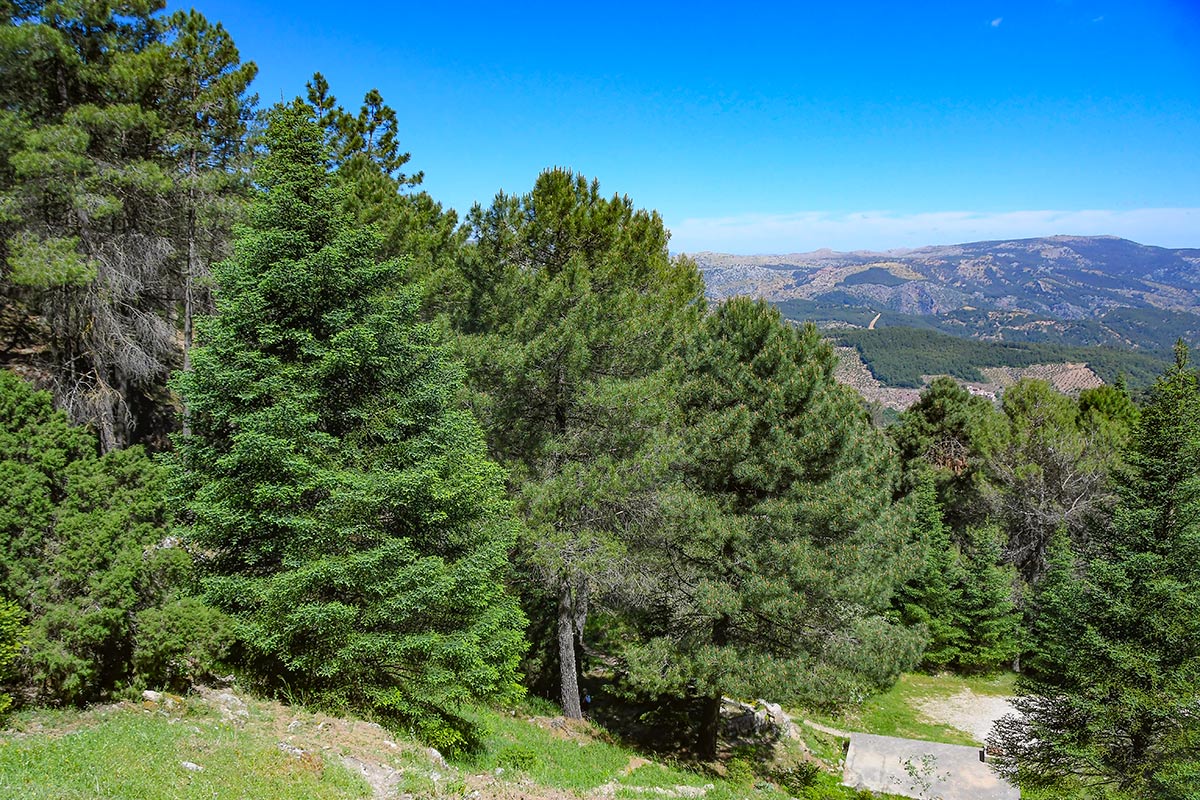 sierradelasnievesmayo56