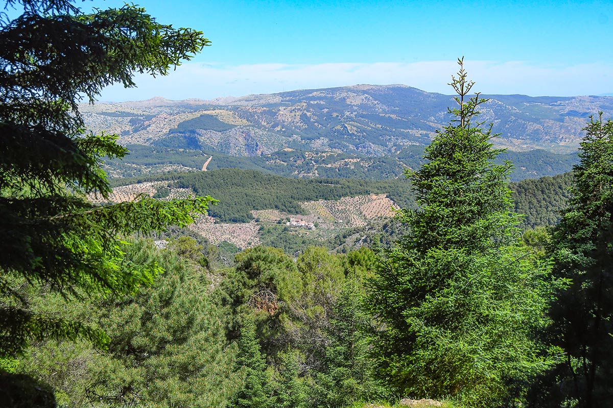sierradelasnievesmayo57