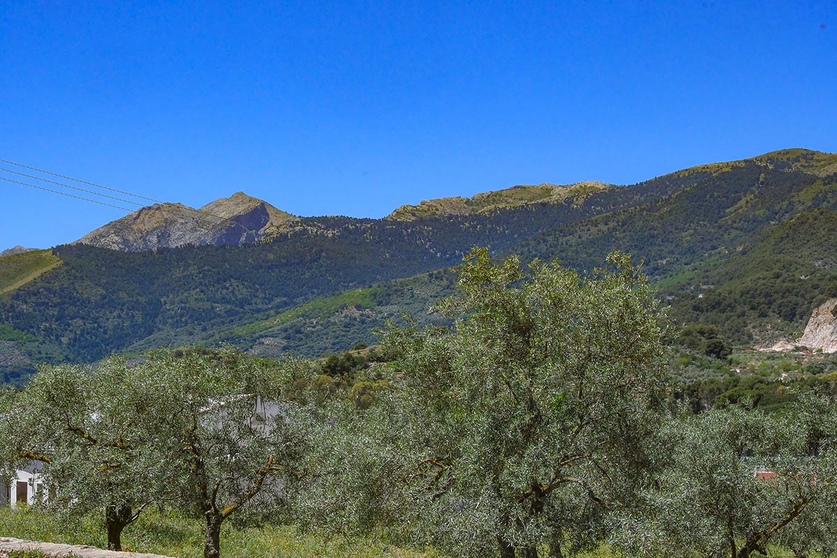 sierradelasnievesmayo62