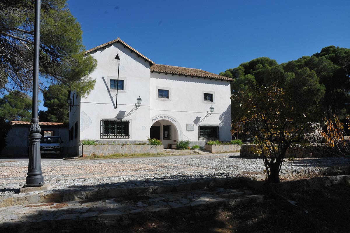 pinaressotillo002
