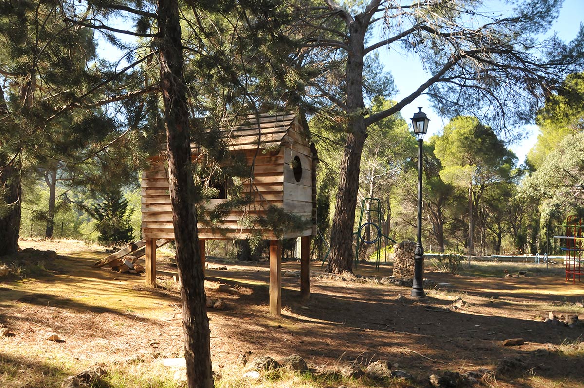 pinaressotillo005