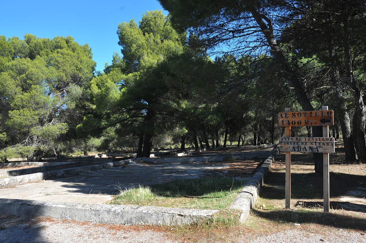 pinaressotillo010