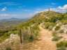 deifontestorre10