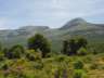 pinaressotillo012