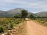 pinaressotillo019