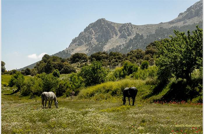 sierramaria07