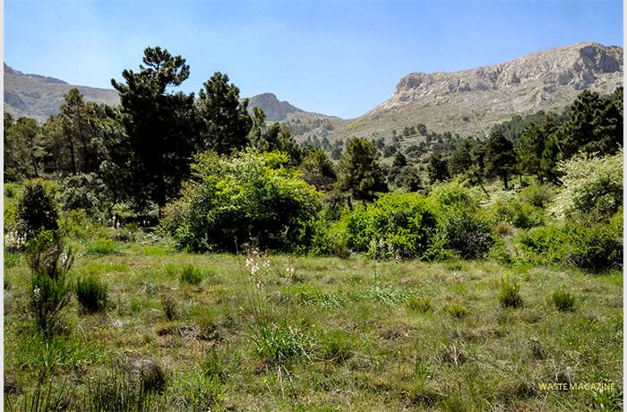 sierramaria11