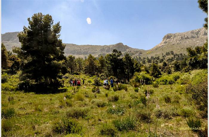 sierramaria14