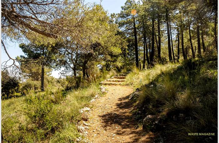 sierramaria16