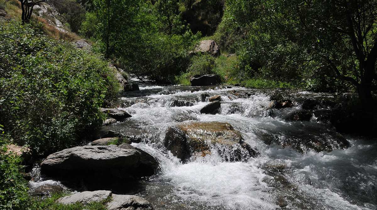 Desembocadura del río San Juan en el río Genil