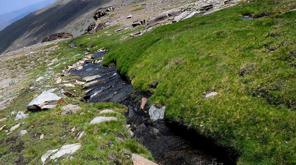 Sierra_Nevada-Borreguil_San_Juan