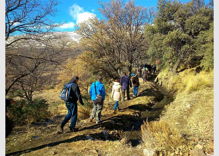 Acequia-Almiar_Juan-Reyes
