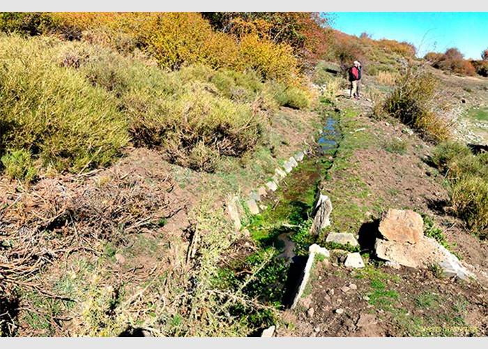 acequia-careo