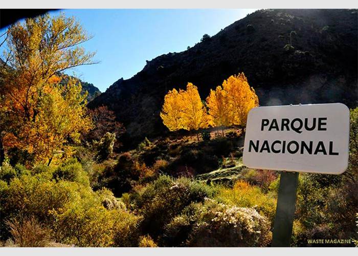 paqrquenacional-bosques