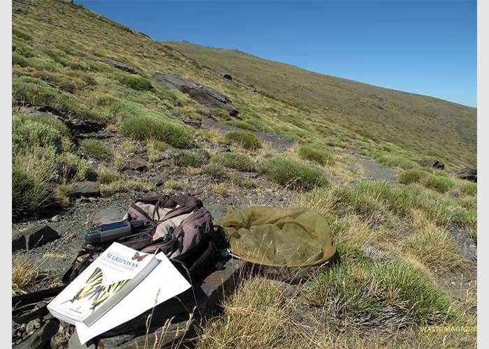 sierranevada-adaptamed-003