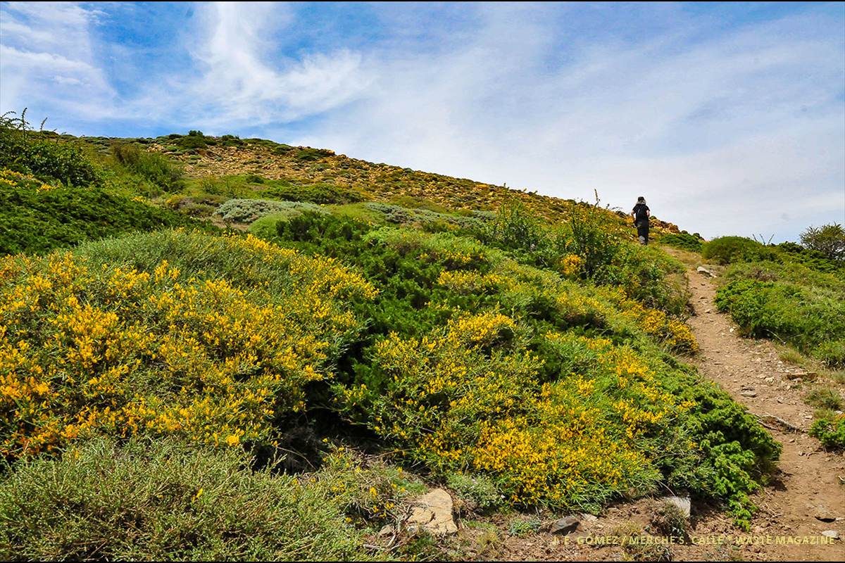 Sierra-Nevada-paisajes-02