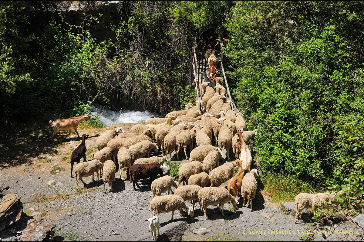 Sierra-Nevada-paisajes-04