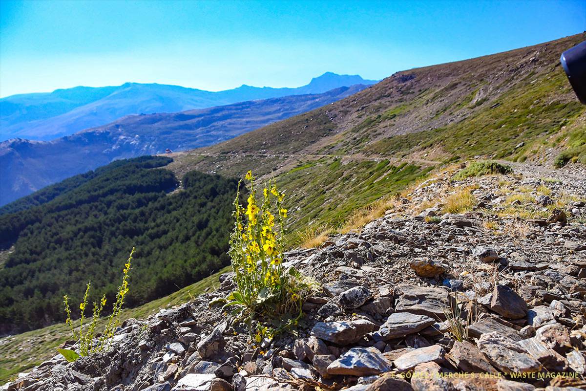 Sierra-Nevada-paisajes-13