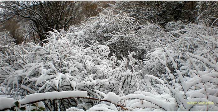cubierta-de-nieve