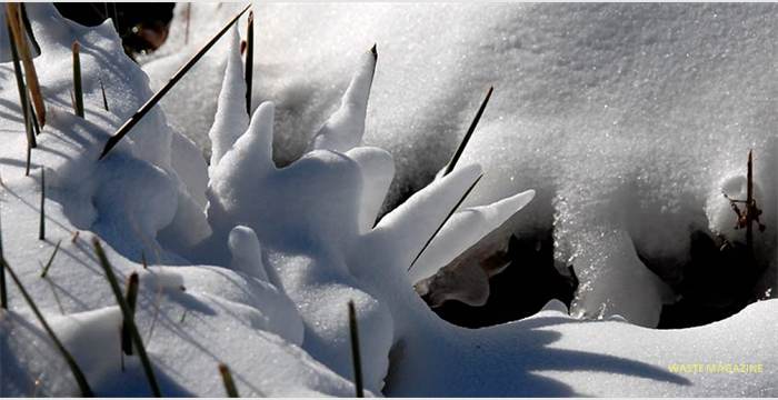 sierranevada-nieve3