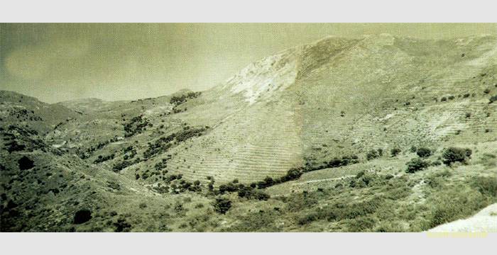 cortijuela-1961