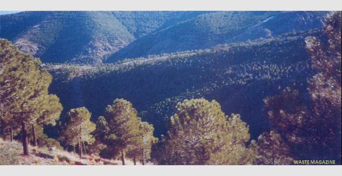 lanjaron-ahora