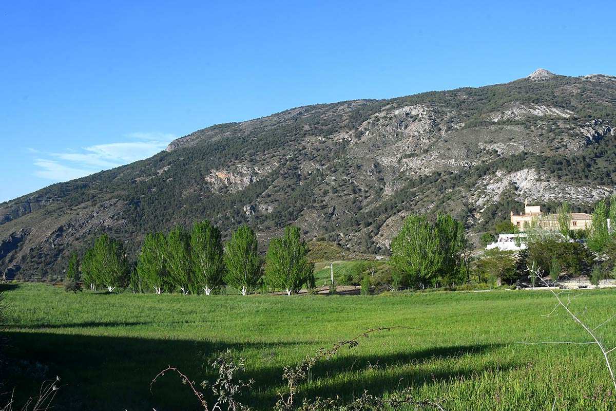 Hervidero-Espartera-Alayos-13