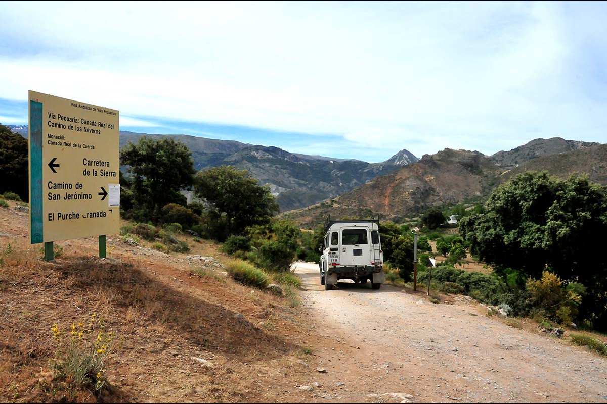 Camino de los Neveros 