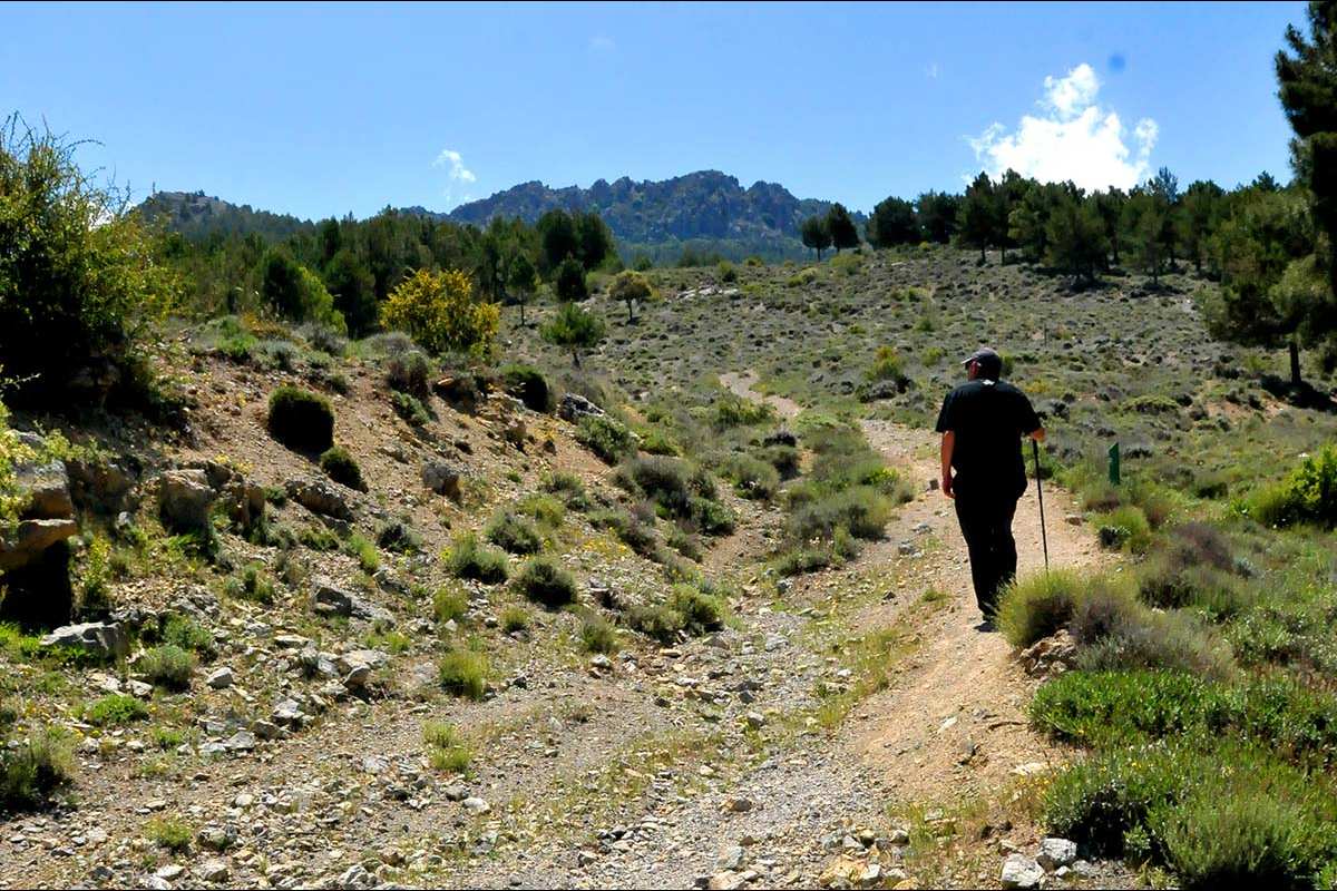 Camino de los Neveros -hacia El Dornajo