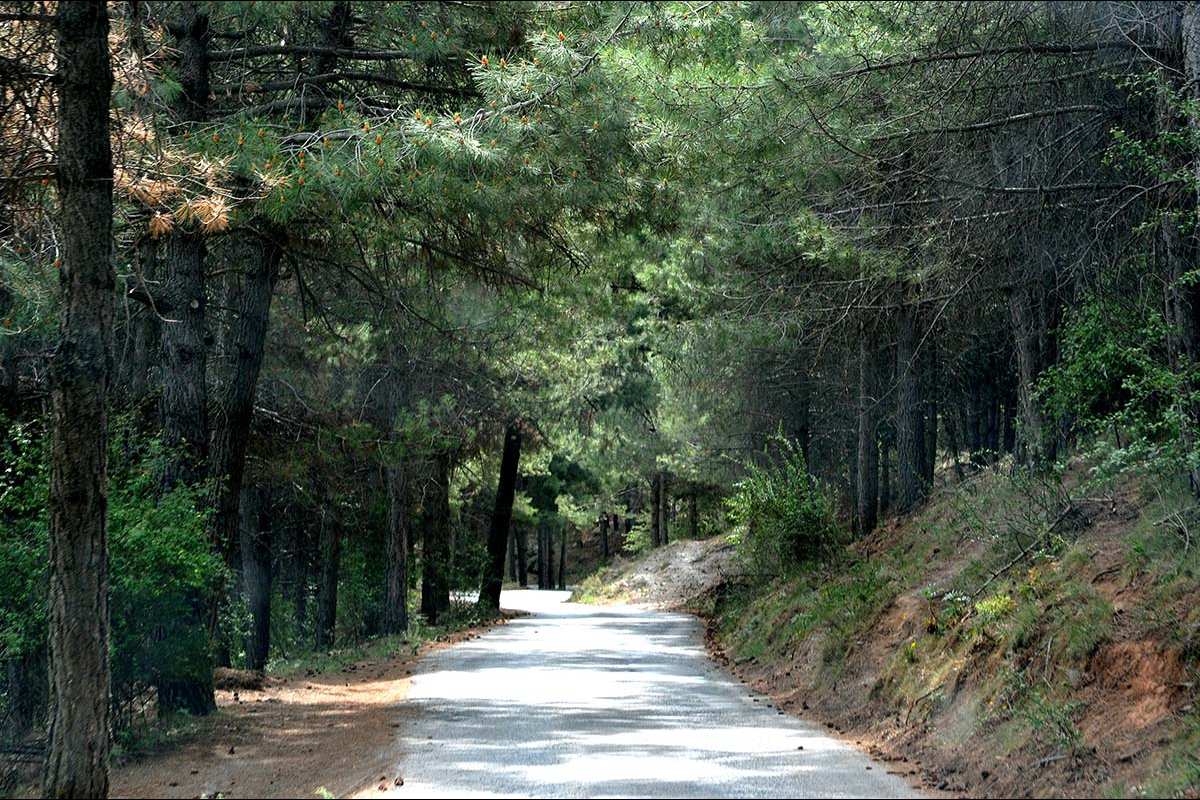 Camino de los Neveros - Carril de San Jerónimo