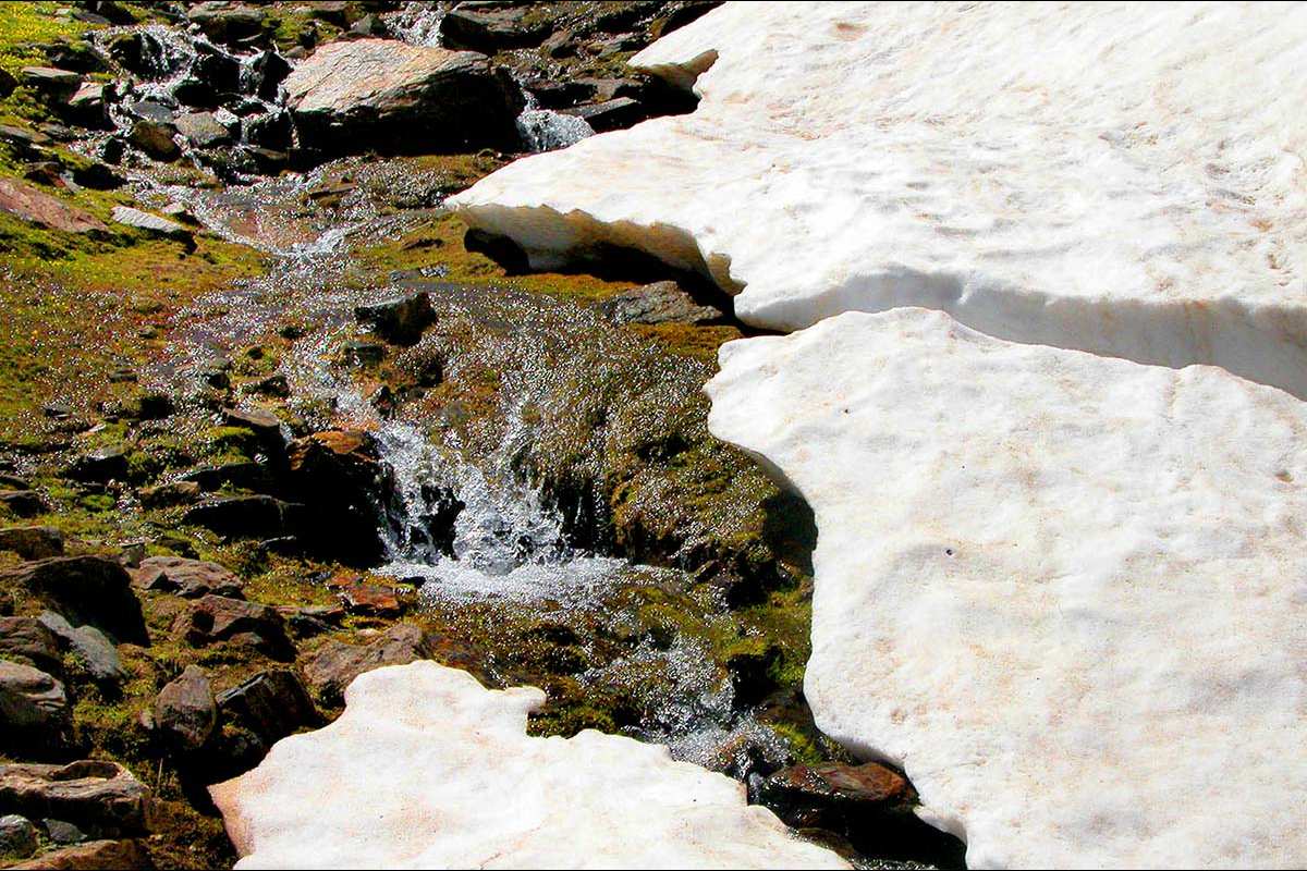 Nieve en las proximidades de Cauchiles