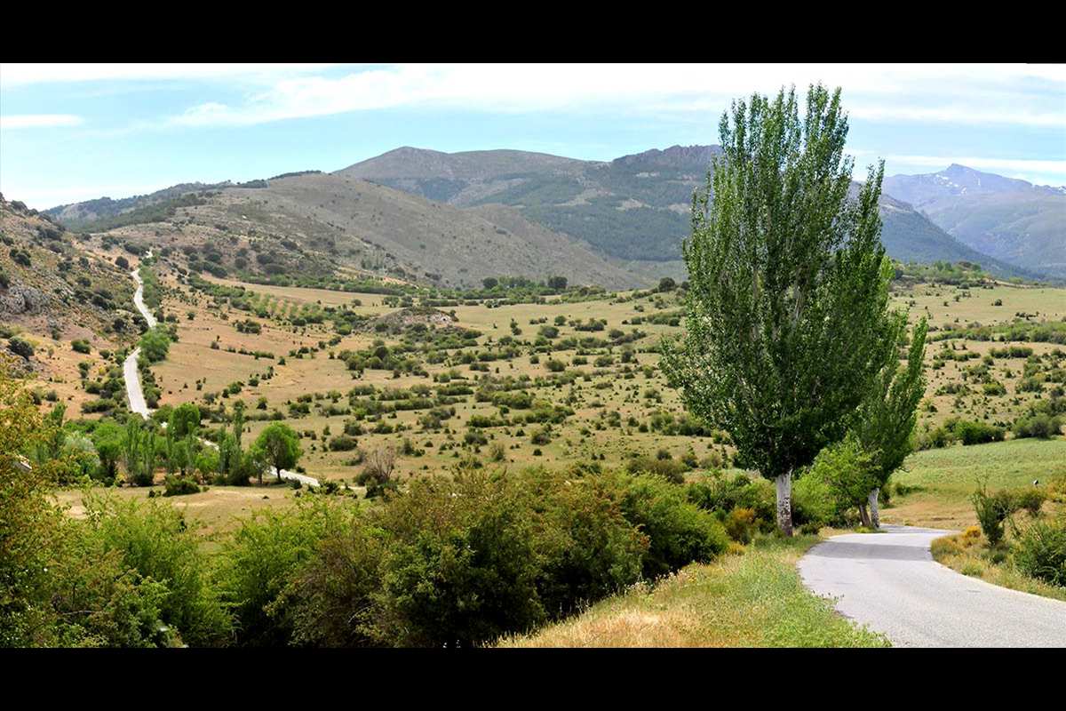 Camino de los Neveros - El Purche