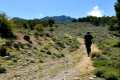 Camino de los Neveros -hacia El Dornajo